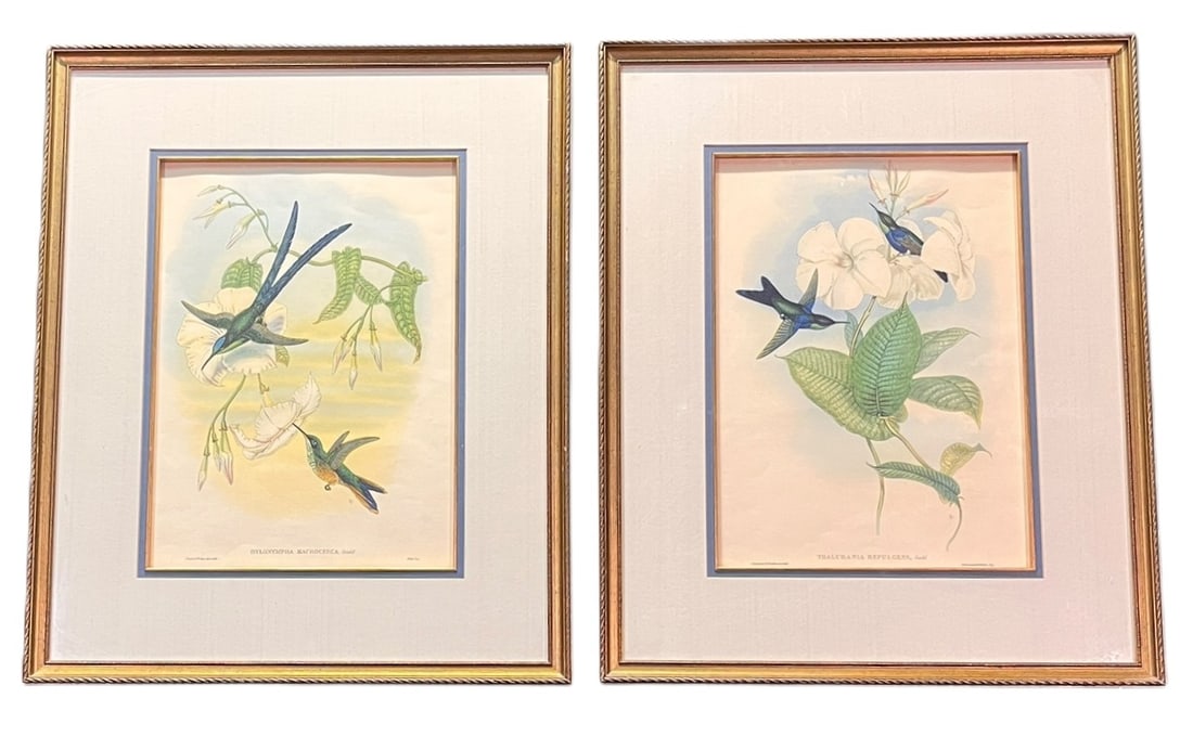 PAIR OF BOTANTICAL PRINTS IN VINTAGE FRAMED (1 of 4)