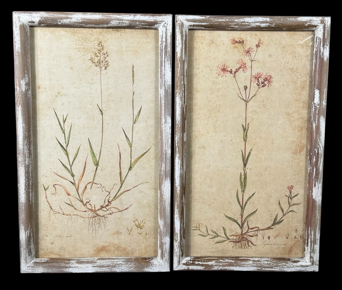 2 RUSTIC FRAMED FIELD FLOWER BOTANICALS: 2 RUSTIC FRAMED FIELD FLOWER BOTANICALS Height: 24 in. by Width: 14 in. by Depth: 1.25 in.