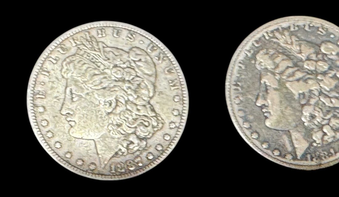 5 ANTIQUE MORGAN SILVER DOLLARS - 3