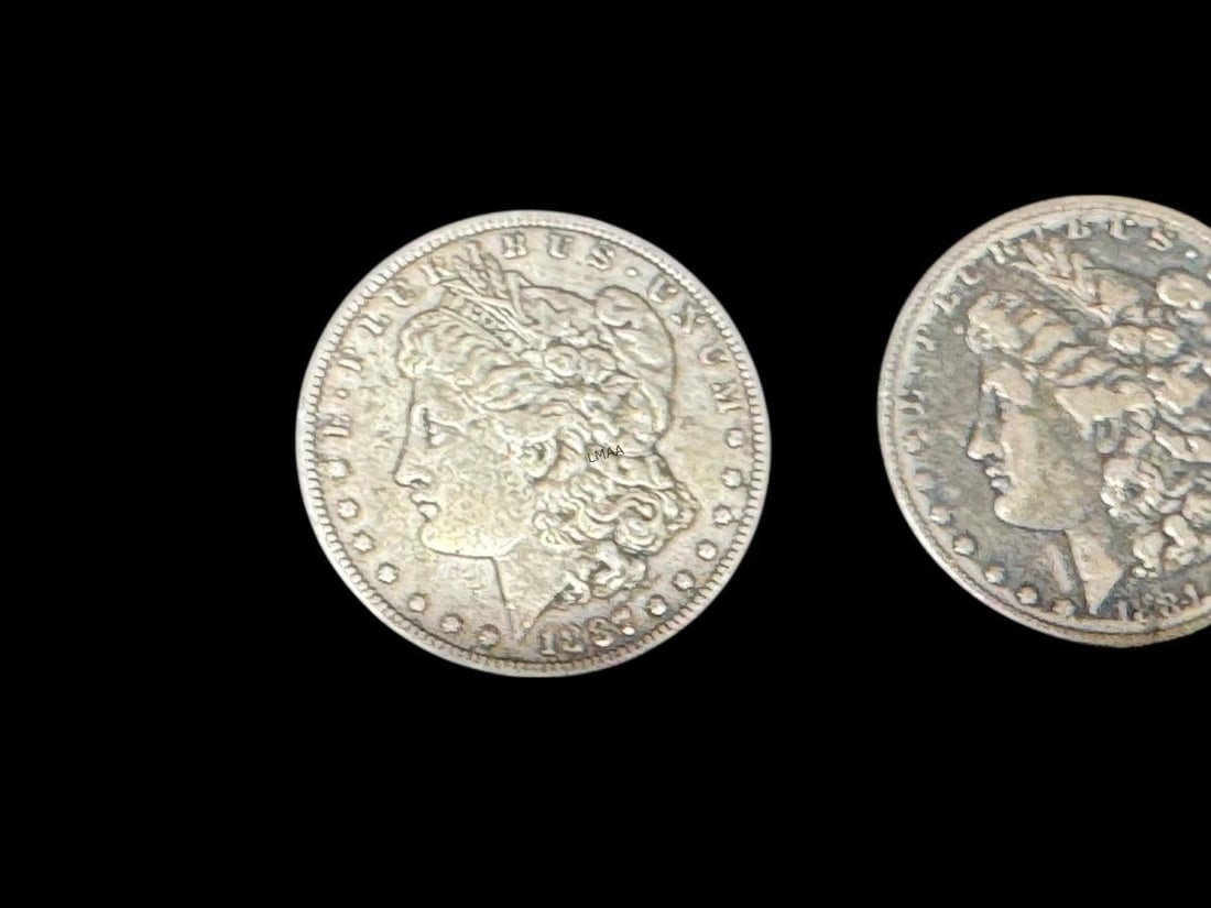 5 ANTIQUE MORGAN SILVER DOLLARS - 4