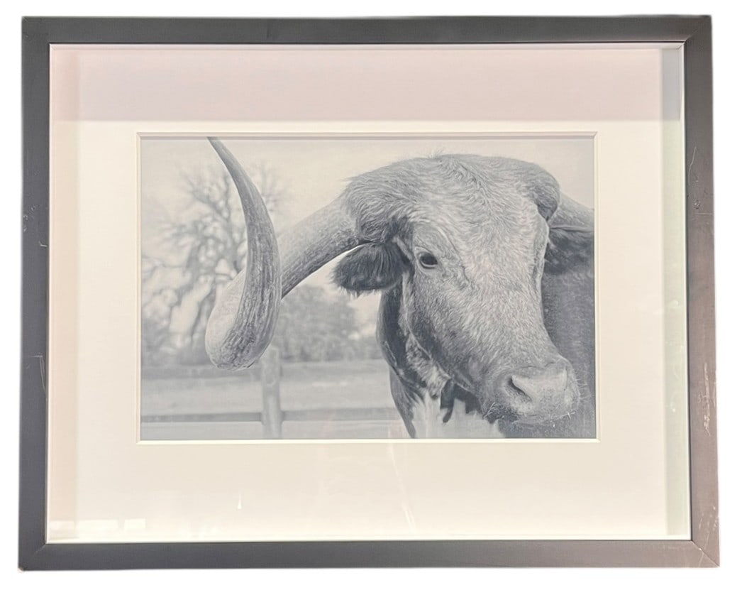 LONGHORN B/W PHOTOGRAPH BY BRITTANY HANSEN: LONGHORN B/W PHOTOGRAPH BY BRITTANY HANSEN. Height: 16 in. by Width: 20 in.