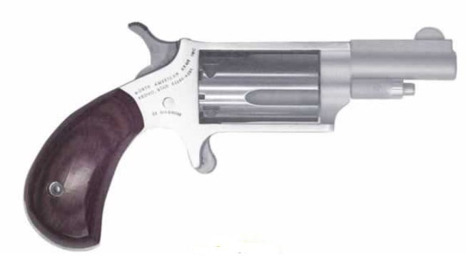 NORTH AMERICAN ARMS MINI -REVOLVER 22WMR/22L (1 of 1)