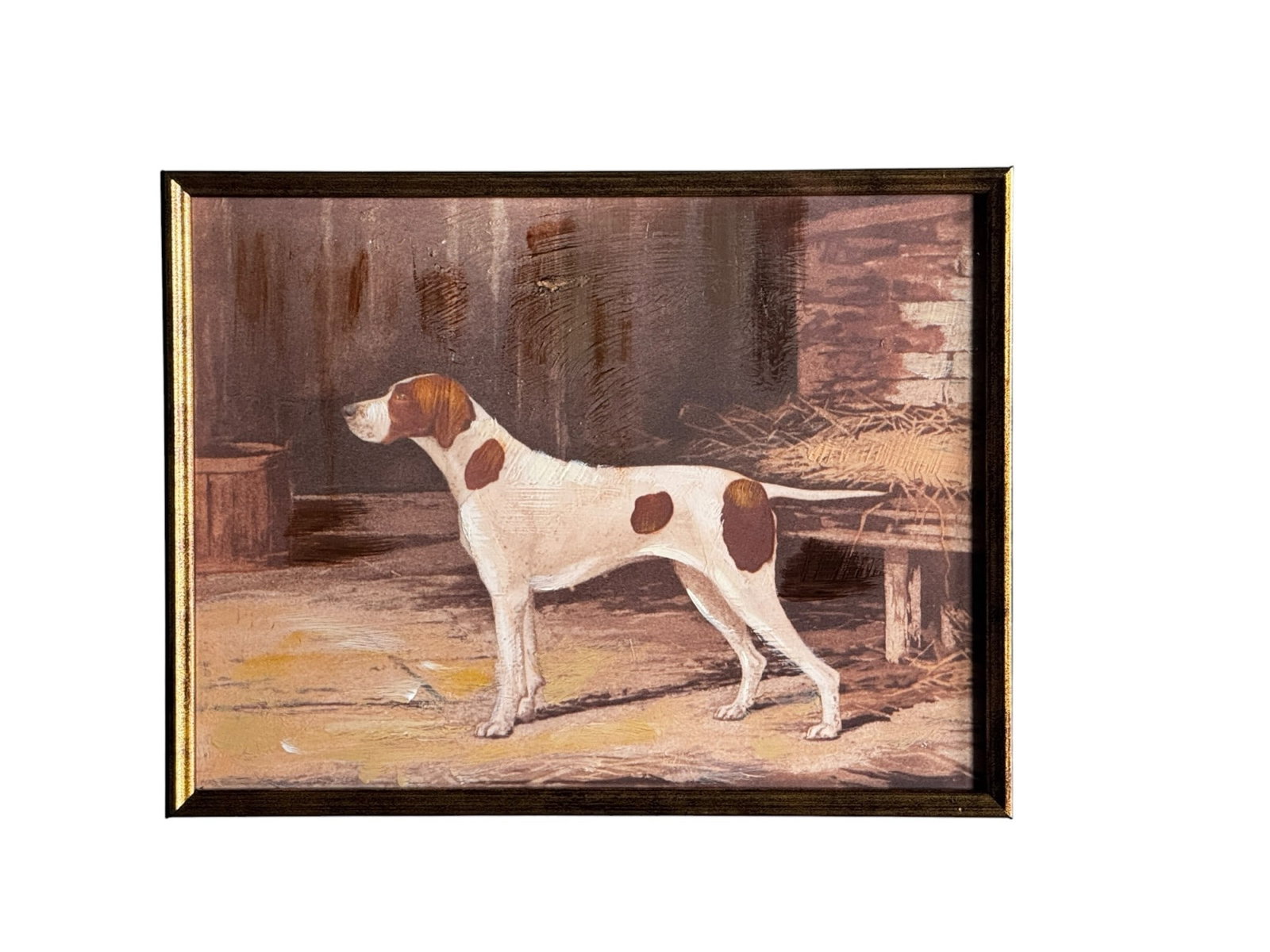 PR OF DOG PORTRAITS: PR OF DOG PORTRAITS Height: 18 in. by Width: 20