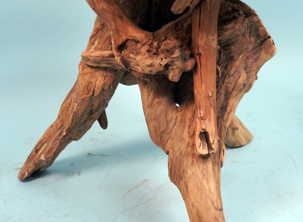 ROOT TABLE - 6