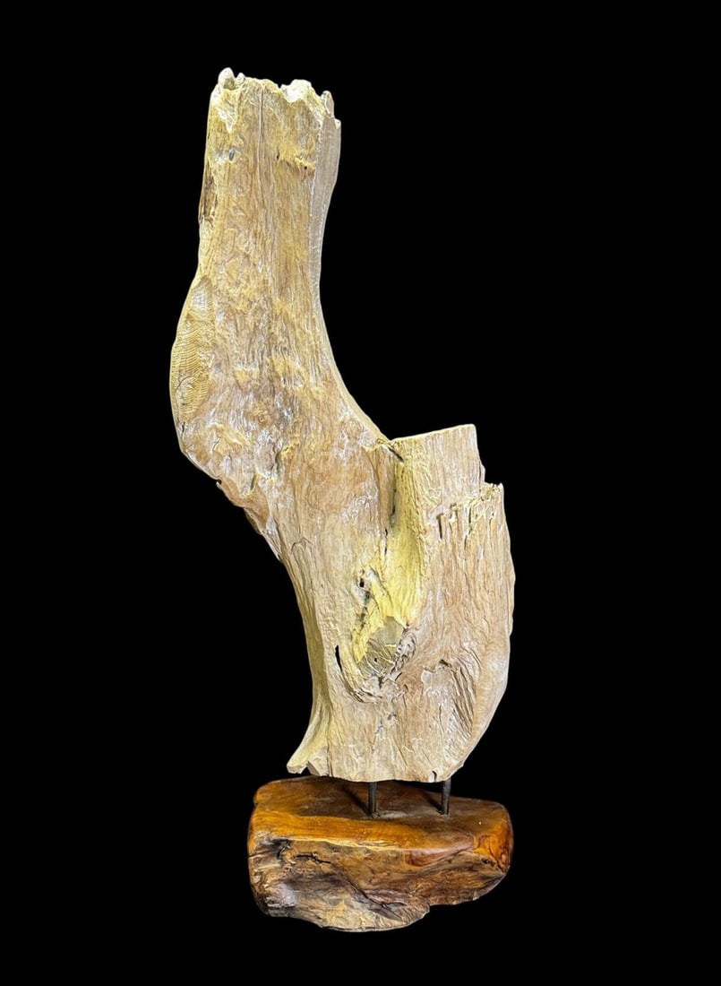 DRIFTWOOD SCULPTURE: DRIFTWOOD SCULPTURE MOUNTED ON NATURAL WOOD BASE. Height: 46 in. by Width: 18 IN.