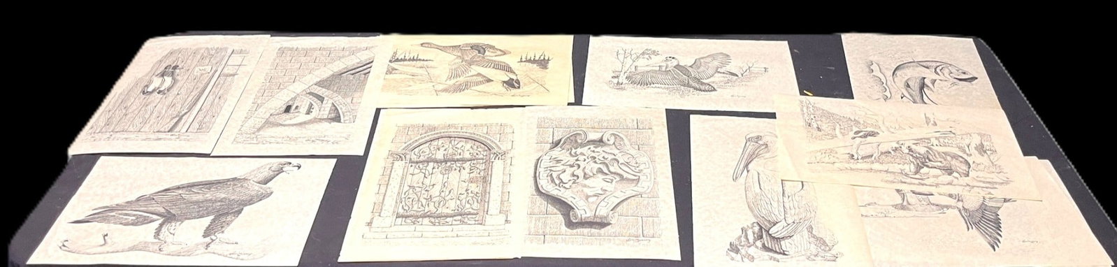 15 PEN AND INK DRAWINGS BY GENE MURRAY: 15 PEN AND INK DRAWINGS BY GENE MURRAY Height: 17 in. by Width: 11 in.