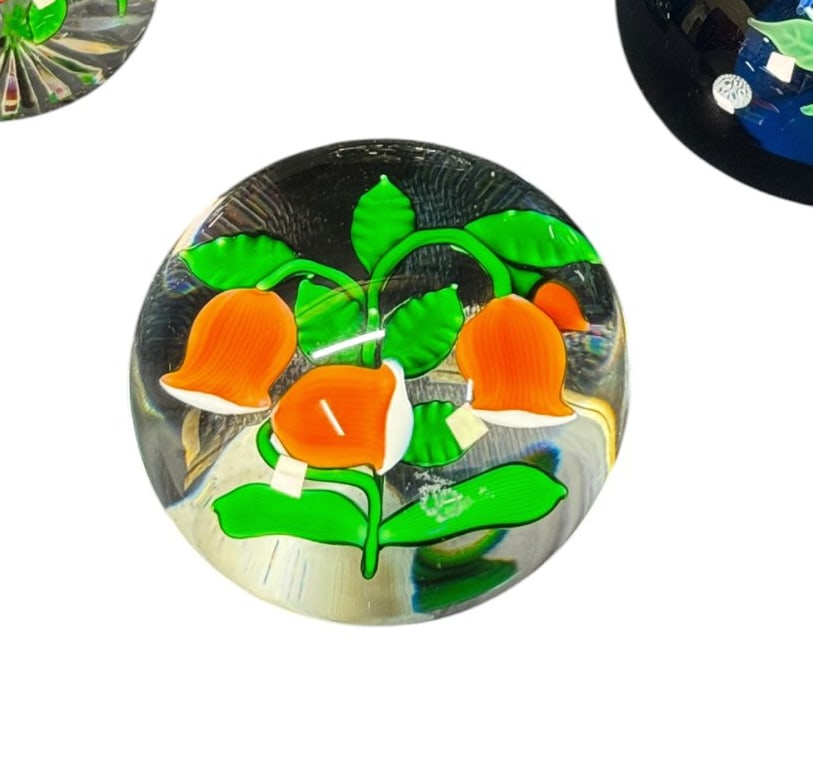 PAPERWEIGHT COLLECTION - 5