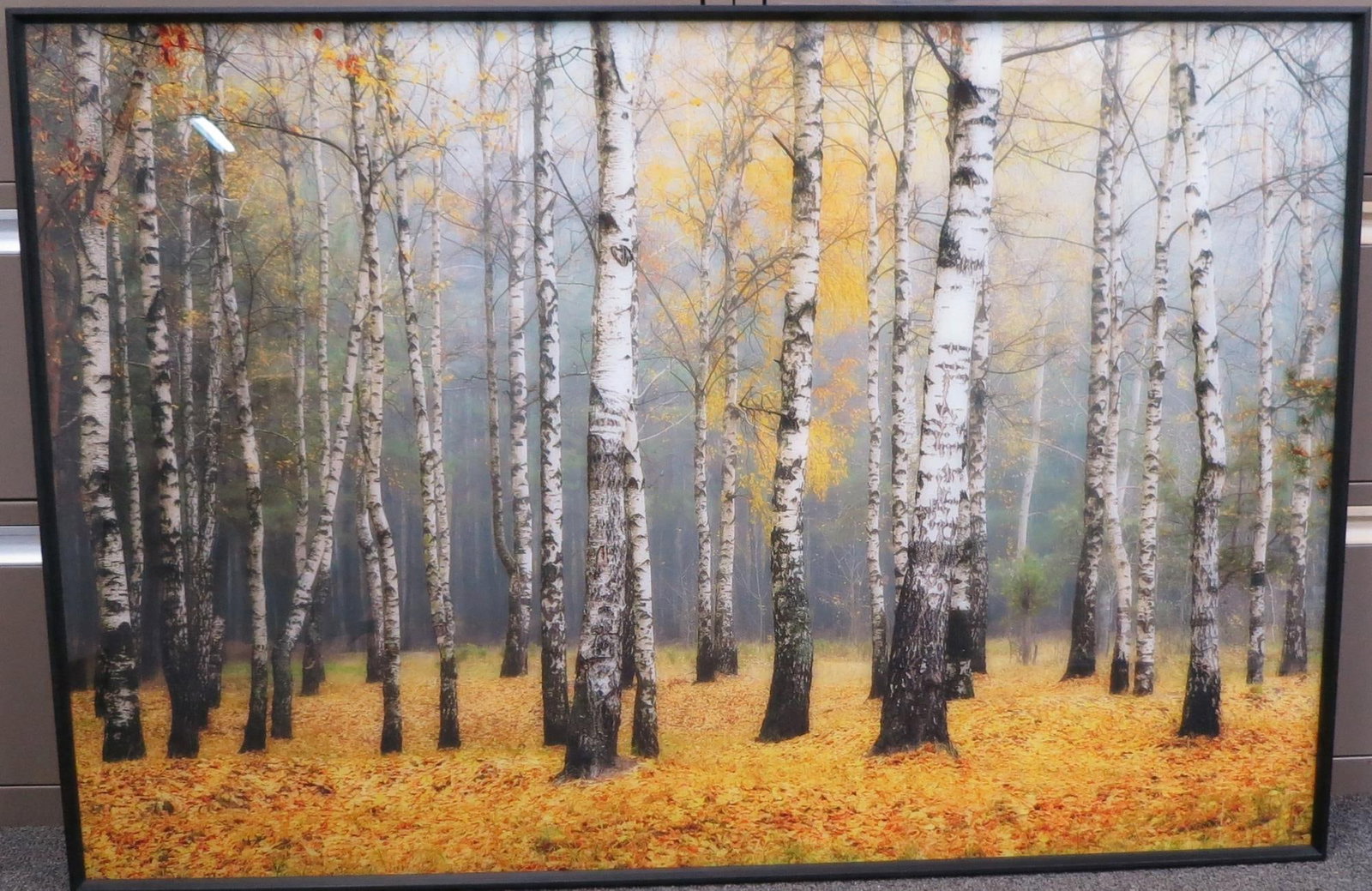 REVERSE GLASS TREES IN FOREST IN SLIM BLACK FRAME: REVERSE GLASS TREES IN FOREST IN SLIM BLACK FRAME. Height: 32.5 in. by Width: 48 in. by Depth: 1.5 in.