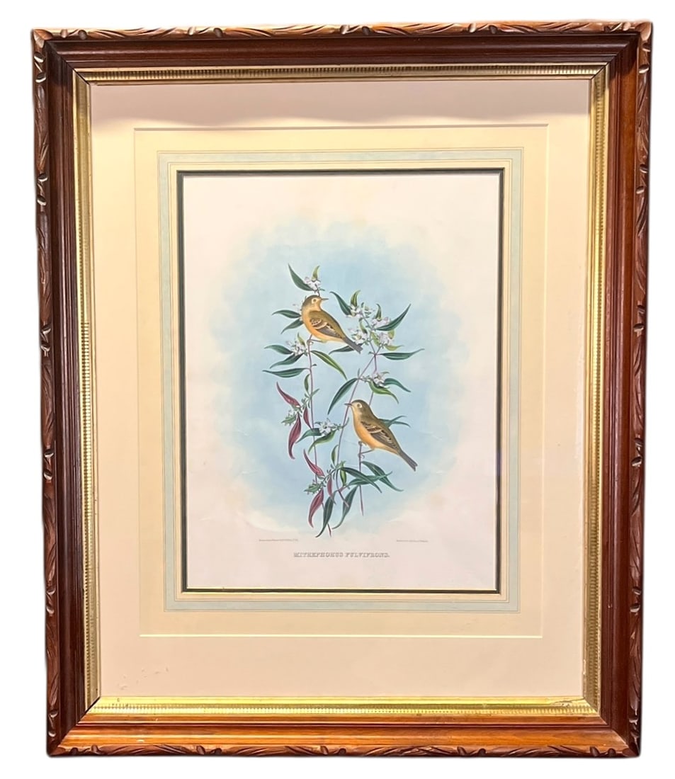 ANTIQUE BOTANTICAL PRINT FRAMED: ANTIQUE BOTANTICAL PRINT FRAMED Height: 34.5 in. by Width: 28.5 in. by Depth: 2 in.