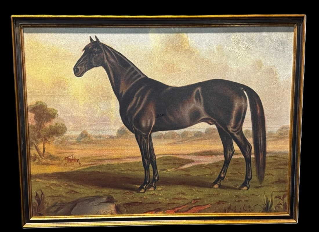 SPORTING HORSE PRINT ON PANEL: SPORTING HORSE PRINT ON PANEL Height: 30 in. by Width: 40
