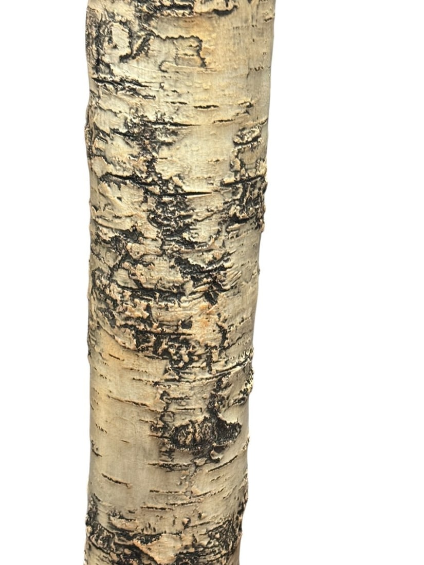 BIRCH FLOOR LAMP - 2