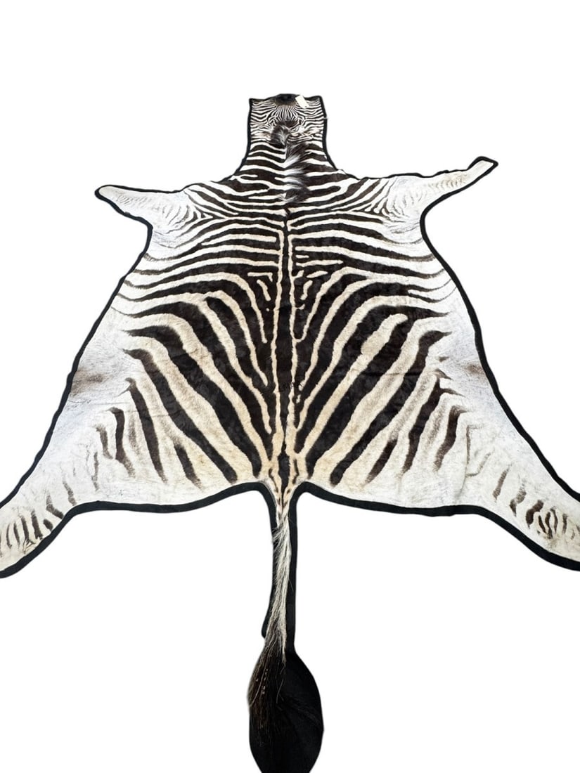 MOUNTED ZEBRA HIDE ON FELT (1 of 3)
