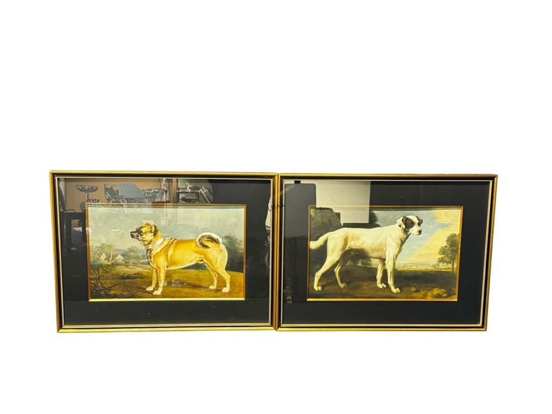 2 FRAMED SPORTING DOG PRINTS (1 of 4)