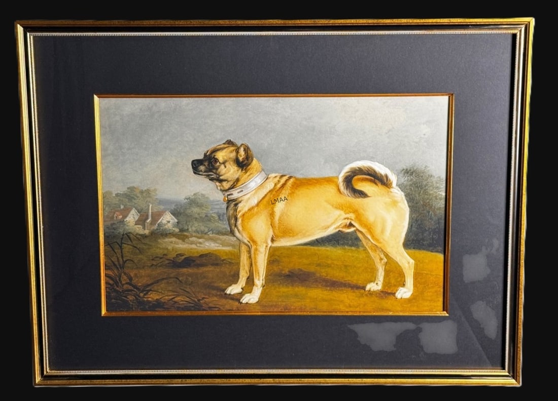 2 FRAMED SPORTING DOG PRINTS - 3