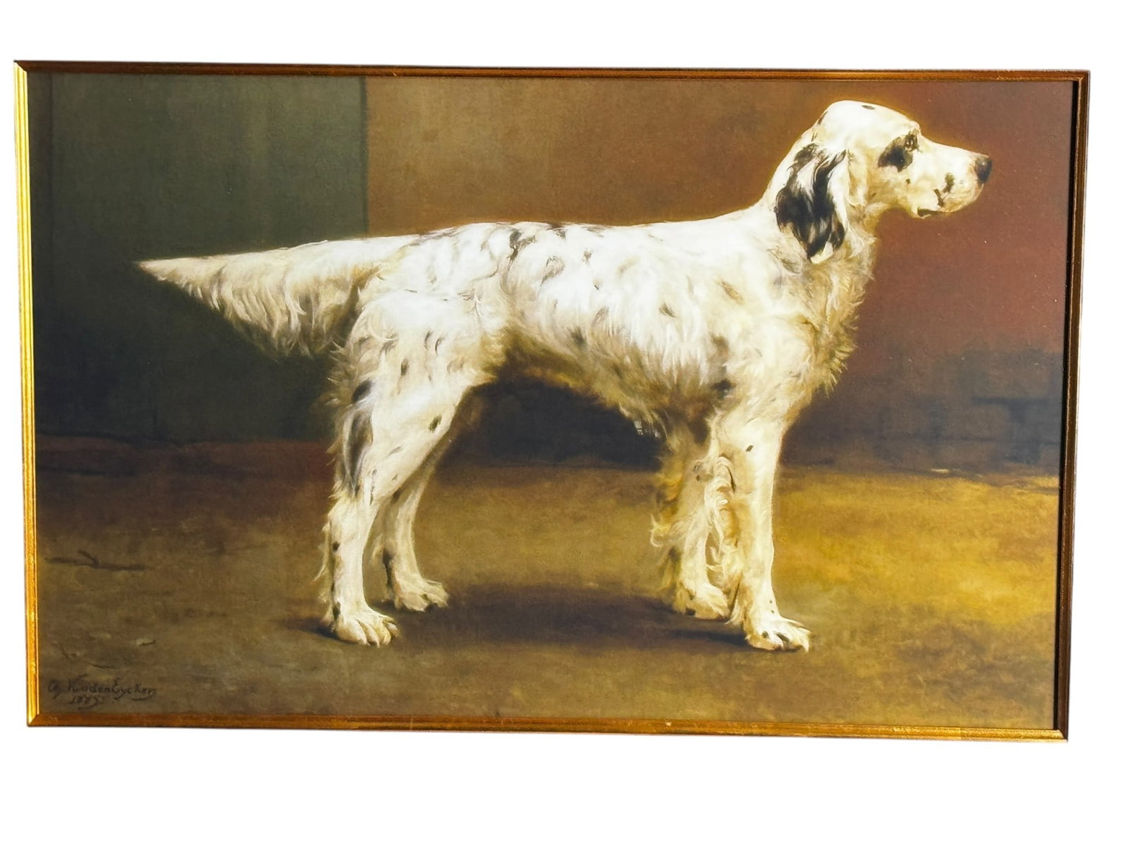 2 FRAMED SPORTING DOG PRINTS - 2