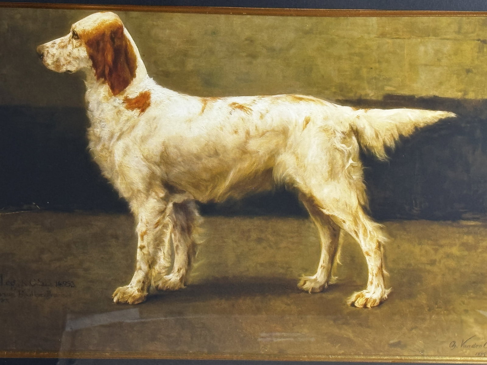 2 FRAMED SPORTING DOG PRINTS - 3