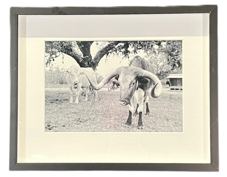 "IRISH CREEK TANGO" PHOTOGRAPH BY BRITTNAY HANSEN: "IRISH CREEK TANGO" PHOTOGRAPH BY BRITTNAY HANSEN. Height: 16 in. by Width: 19.5 in.