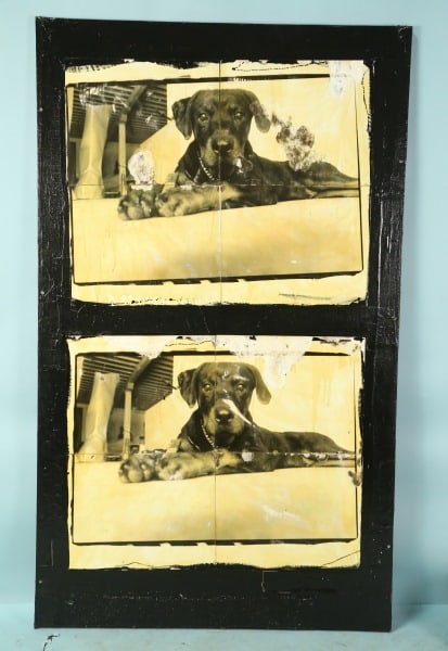 FEASTER "POSING DOG" PHOTO/OIL MIXED MEDIA: FEASTER "POSING DOG" MIXED MEDIA PHOTO/OIL ON BOARD. Height: 80 in. by Width: 48 in. by Depth: 1 1/8 in.