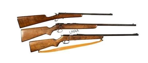 Collection of 3 22 LR Rifles (1 of 2)