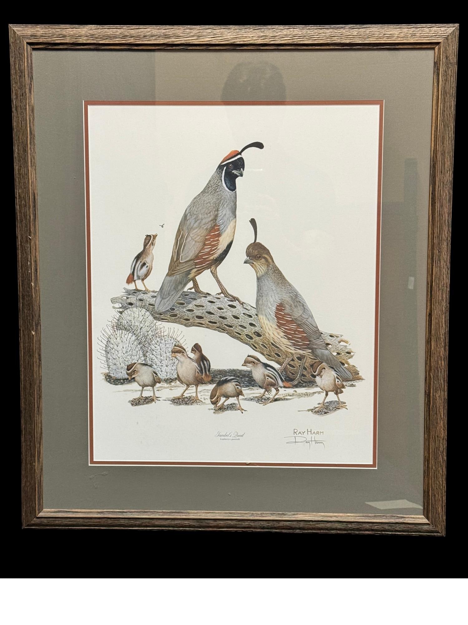 RAY HARM "GAMBEL'S QUAIL" FRAMED WILDLIFE PRINT (1 of 2)