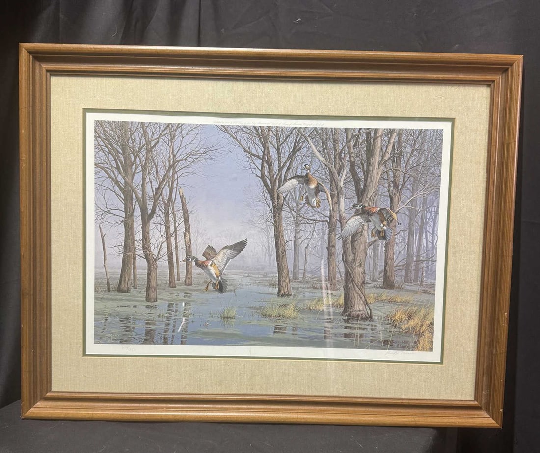 WOOD DUCKS IN A WETLAND LIIMITED EDITION PRINT: DAVID A. MAASS LIMITED EDITION COLOR PRINT WOOD DUCKS IN A WETLAND EDITION: 606/950 SIGNED IN PENCIL Height: 27 in. by Width: 36