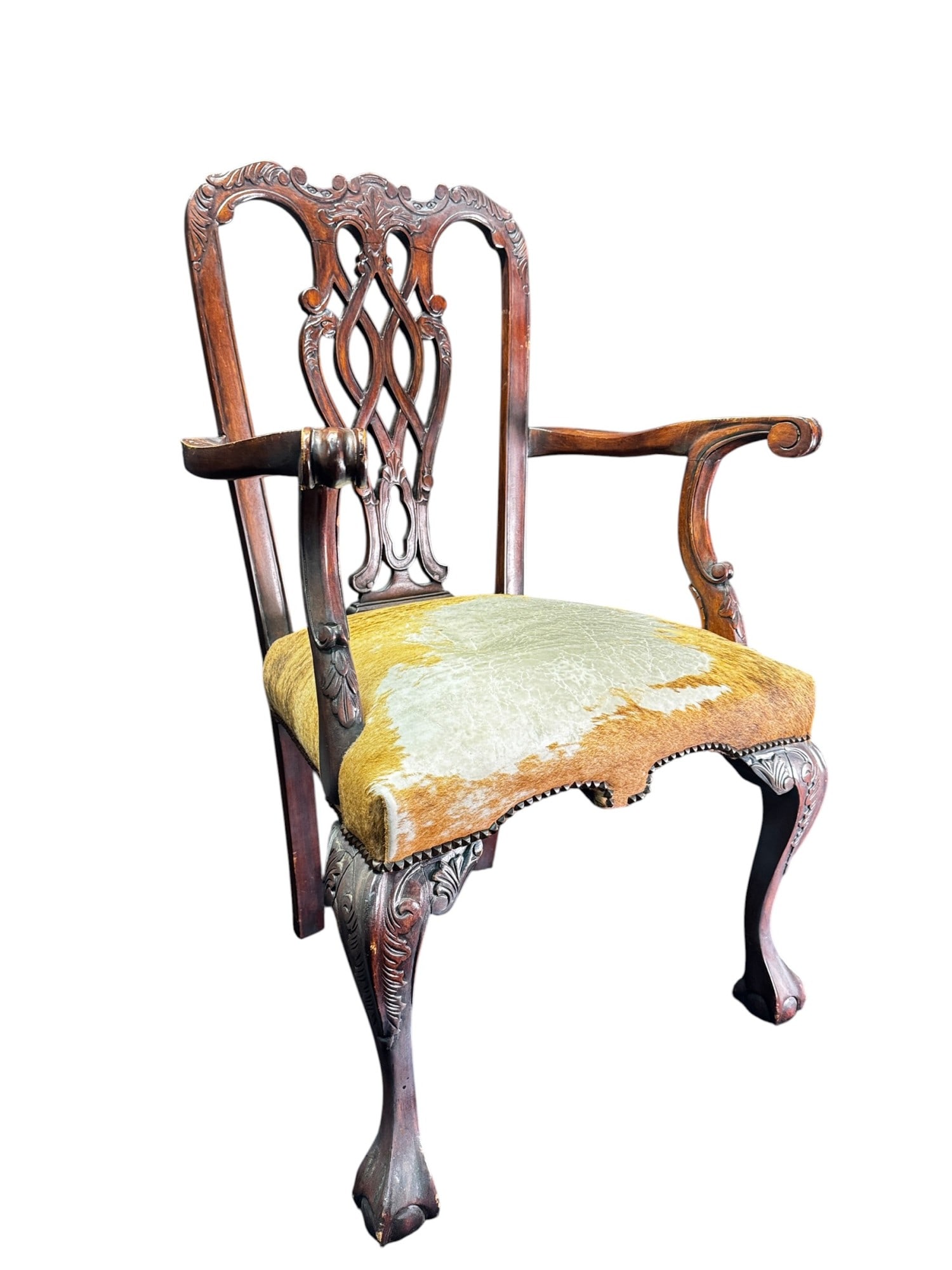 COWHIDE CHIPPENDALE ARM CHAIR: COWHIDE CHIPPENDALE ARM CHAIR. Height: 40