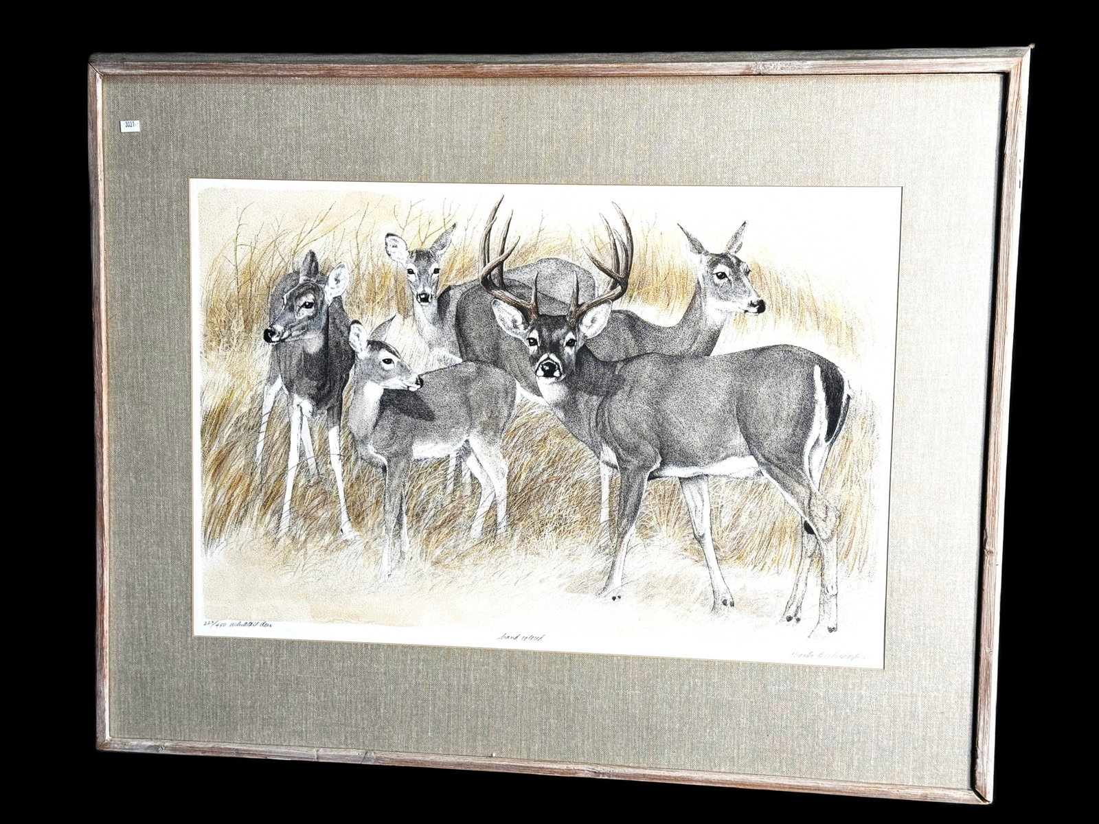CHARLES BECKENDORF WHITE TAIL DEER LITHO: CHARLES BECKENDORF WHITE TAIL DEER LITHO 223/450 HAND COLORED IN A RUSTIC PINE FRAME Height: 30 in. by Width: 38