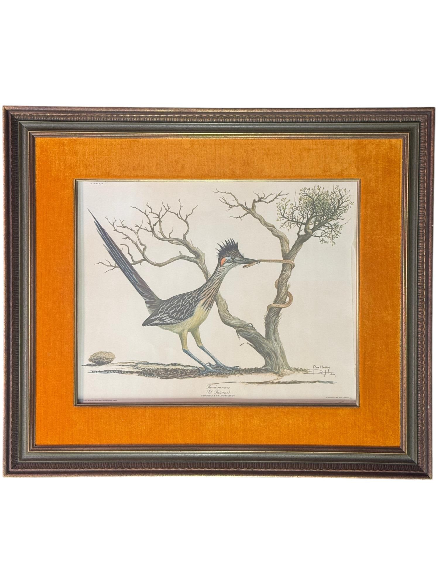 RAY HARM 'ROAD RUNNER EL PAISSANO" WILDLIFE PRINT (1 of 4)
