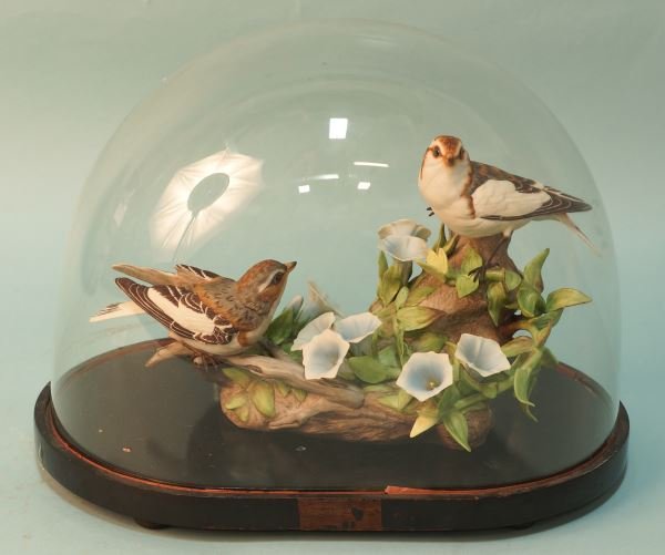BOEHM "SNOW BUNTINGS" LIMITED EDITION SCULTURE: BOEHM "SNOW BUNTINGS" LIMITED EDITION PORCELAIN SCULPTURE UNDER GLASS DOME. Slight nick on tail area, sold as is. Height: 7 1/2 in. by Width: 13 in. by Depth: 7 in.