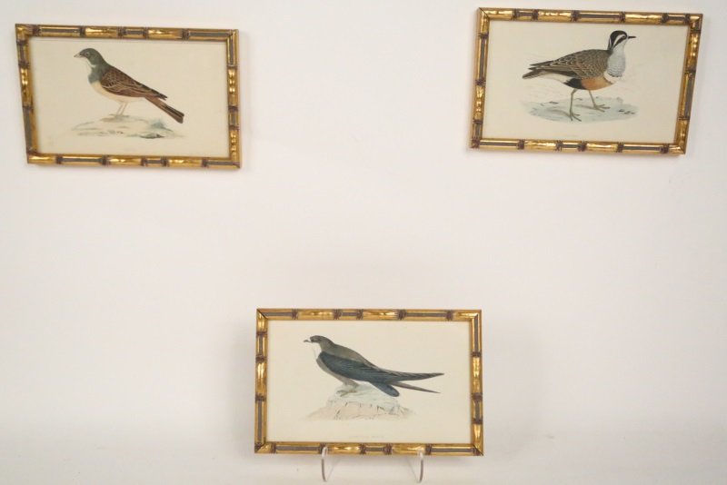 SET OF SIX P. OUDART HAND COLORED PRINTS OF BIRDS (1 of 8)