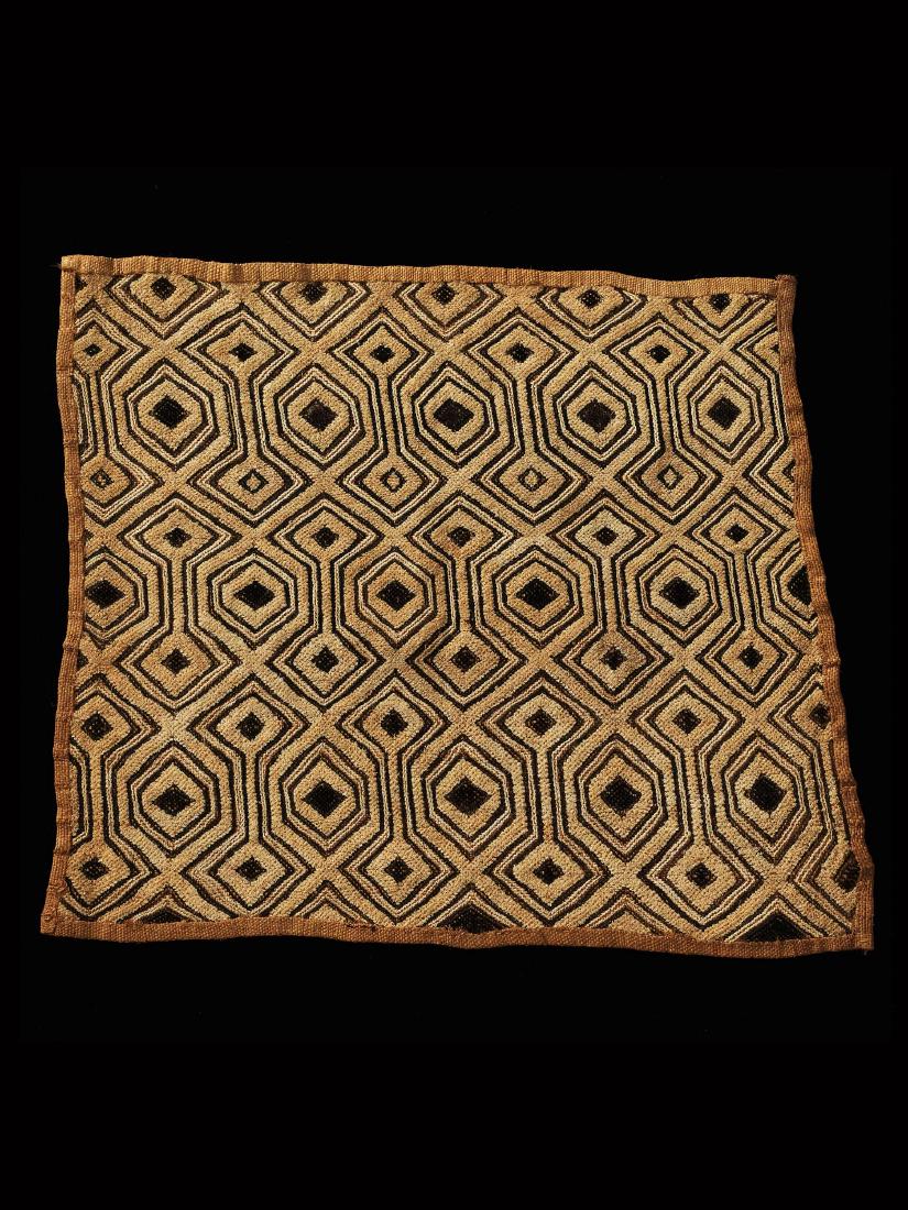 Raphia-Plueschgewebe (1 of 1)