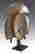 item-58387155=2