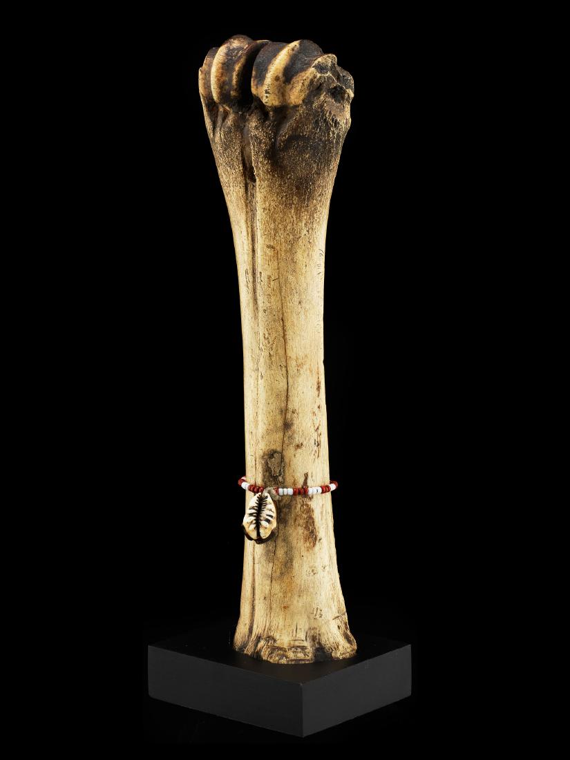 Puppe / Doll (1 of 2)