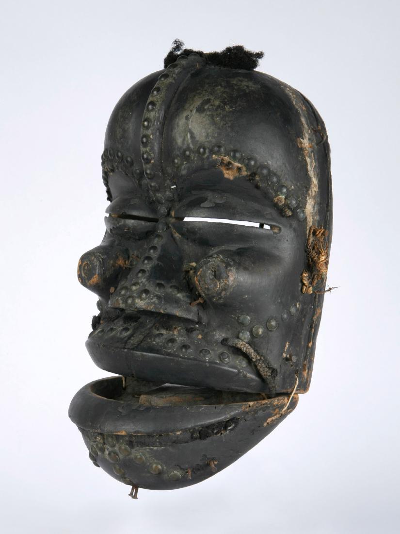 Klappkiefer-Maske (1 of 8)