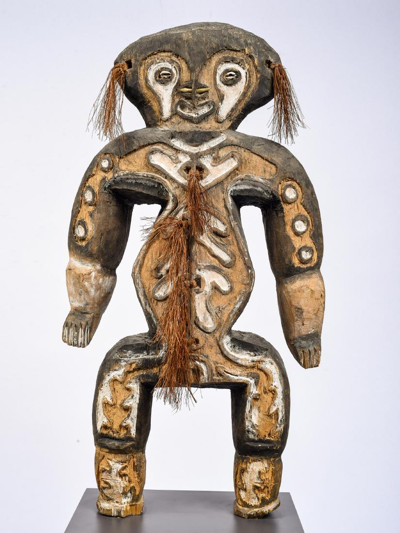 Figur, "bioma" (1 of 13)