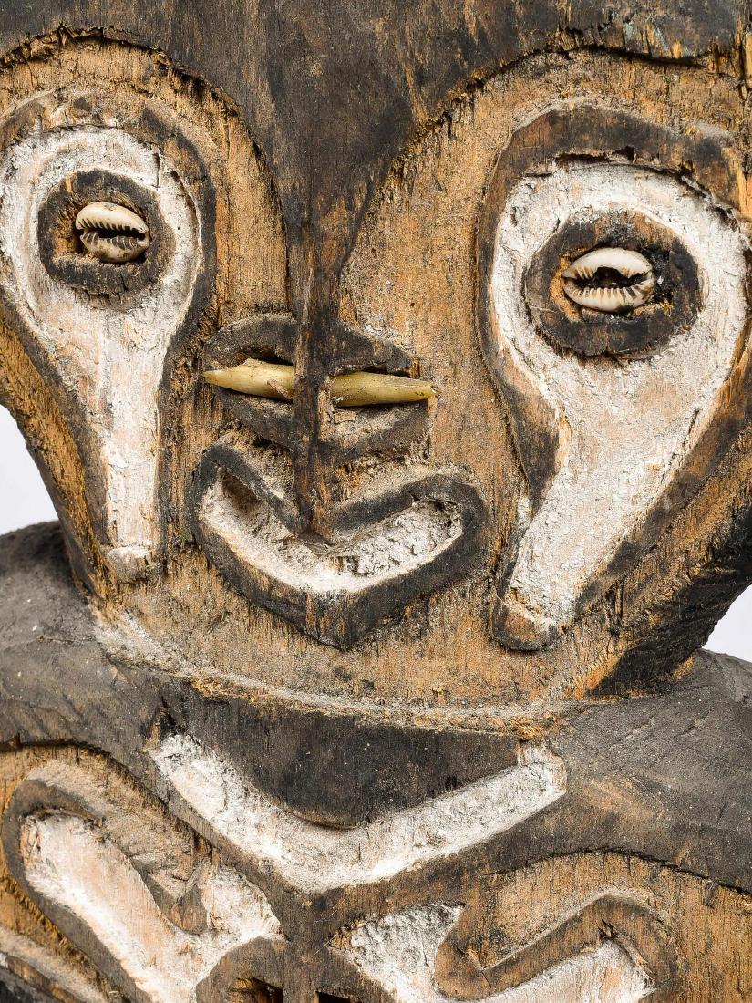 Figur, "bioma" (1 of 13)