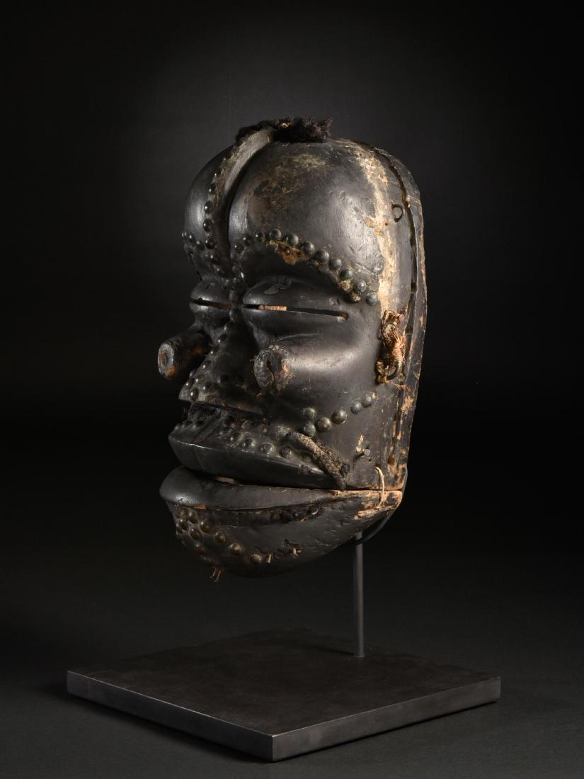 Klappkiefer-Maske (1 of 13)