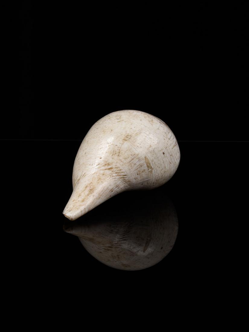 A NEPALESE "SHANKHA" SEASHELL HORN: Muscheltrompete,"shankha" Nepal Ohne Sockel / without base Muschel. L 9 cm. Provenienz: - Hilt (2003) - Schweizer Privatsammlung, Basel. CHF 100 / 200 EUR 86 / 172