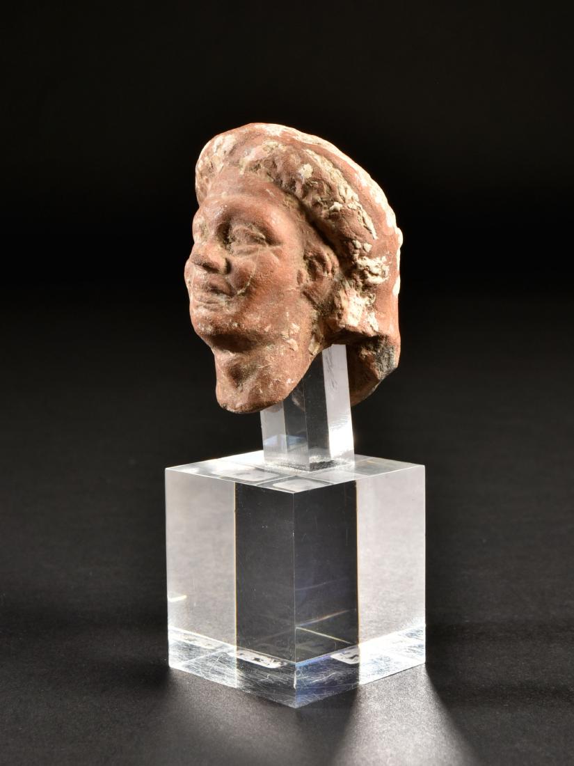 An Alexandrian Head of a Man (1 of 8)