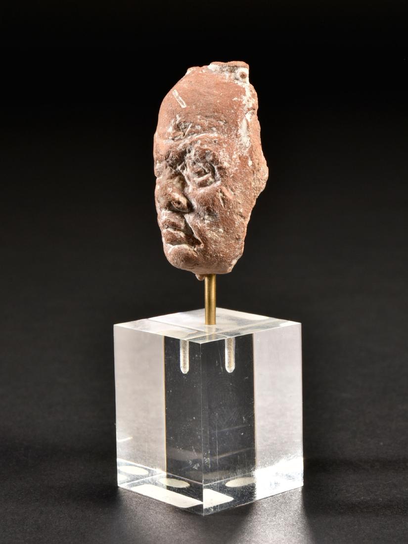 An Alexandrian Head of a Man (1 of 8)