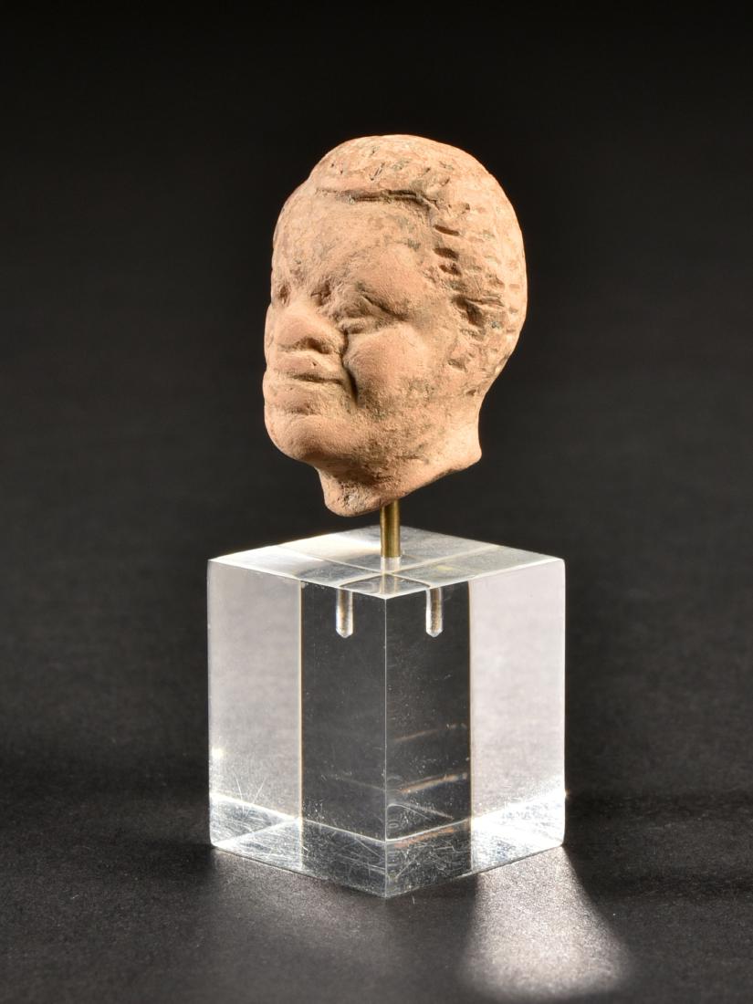 An Alexandrian Head of a Man (1 of 8)