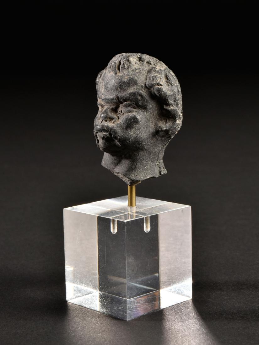 An Alexandrian Head of a Man (1 of 8)