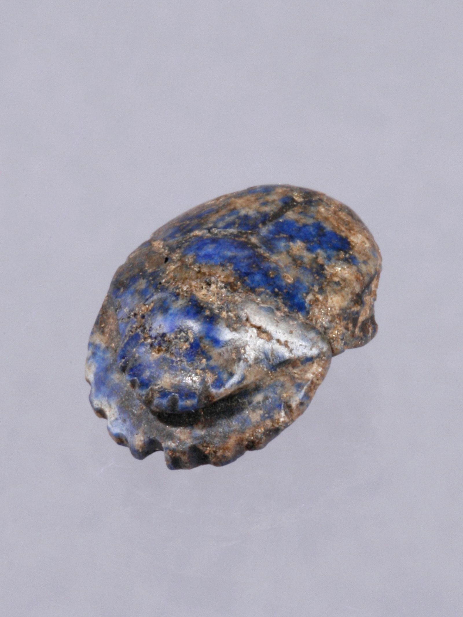 An Egyptian Scaraboid (Ancient Egyptian Art): SKARABOID Ägyptisch Ohne Sockel / without base Keramik. L 2 cm. Provenienz: Schweizer Privatsammlung, Zürich. CHF 50 / 100 EUR 43 / 86