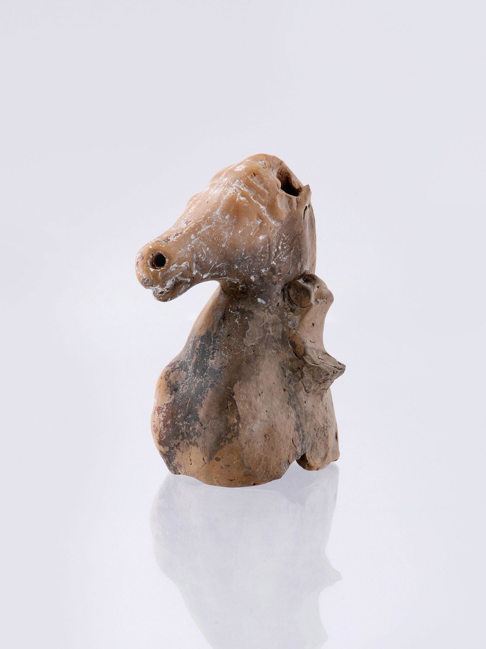 A Greek Horse Protome (1 of 7)