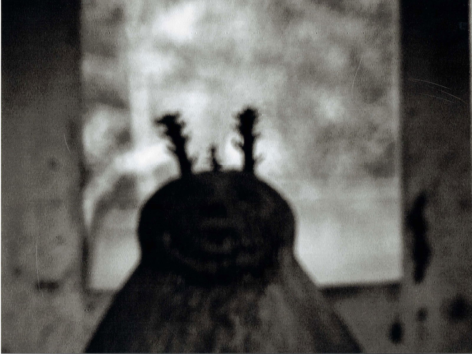 Photography, unframed (1 of 5)