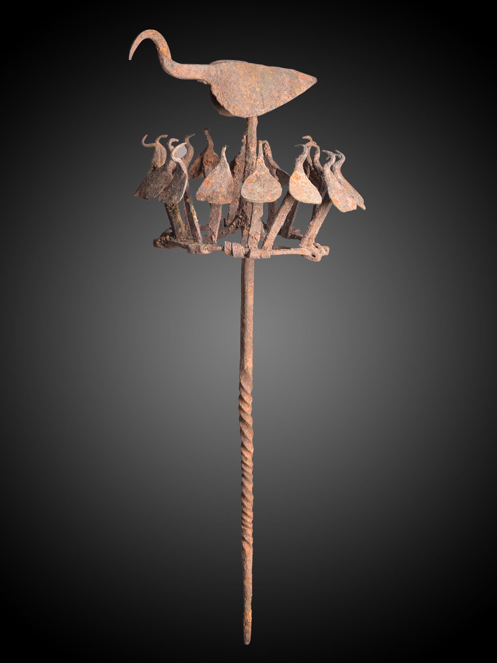 A Yoruba Staff, "osanyin" (1 of 10)