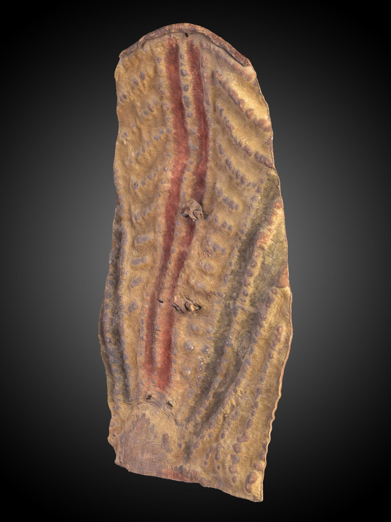 A Kirdi Shield: Schild Kirdi, Kamerun Ohne Sockel / without base Leder. H 53 cm. Provenienz: Helmut und Marianne Zimmer, Zürich. Schilde sind vielfach Statussymbole und Erkennungszeichen der Klanzugehörigkeit. Verw