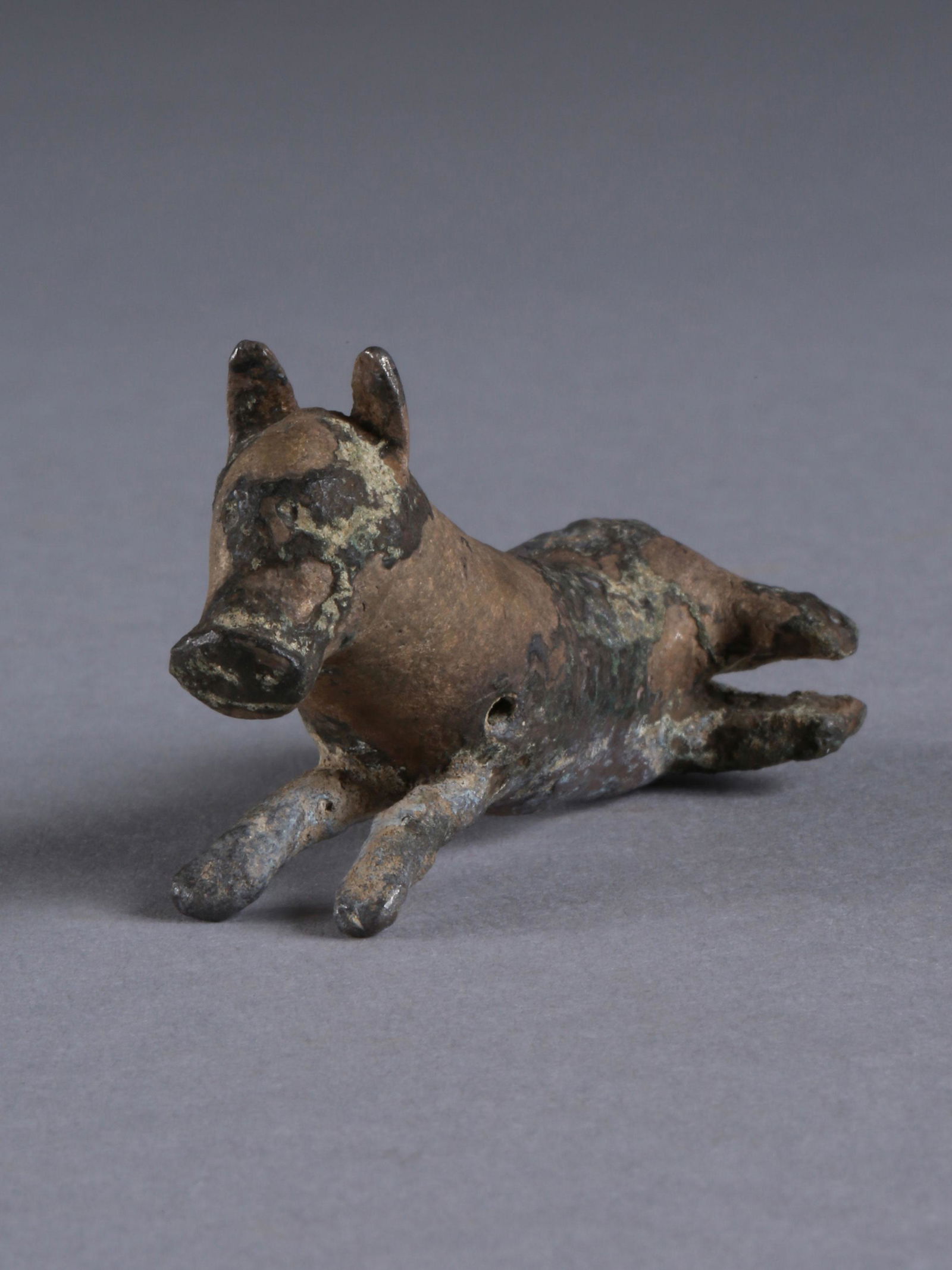 An Eastern Mediterranean Dog Reclining (1 of 11)