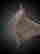 item-90999597=4