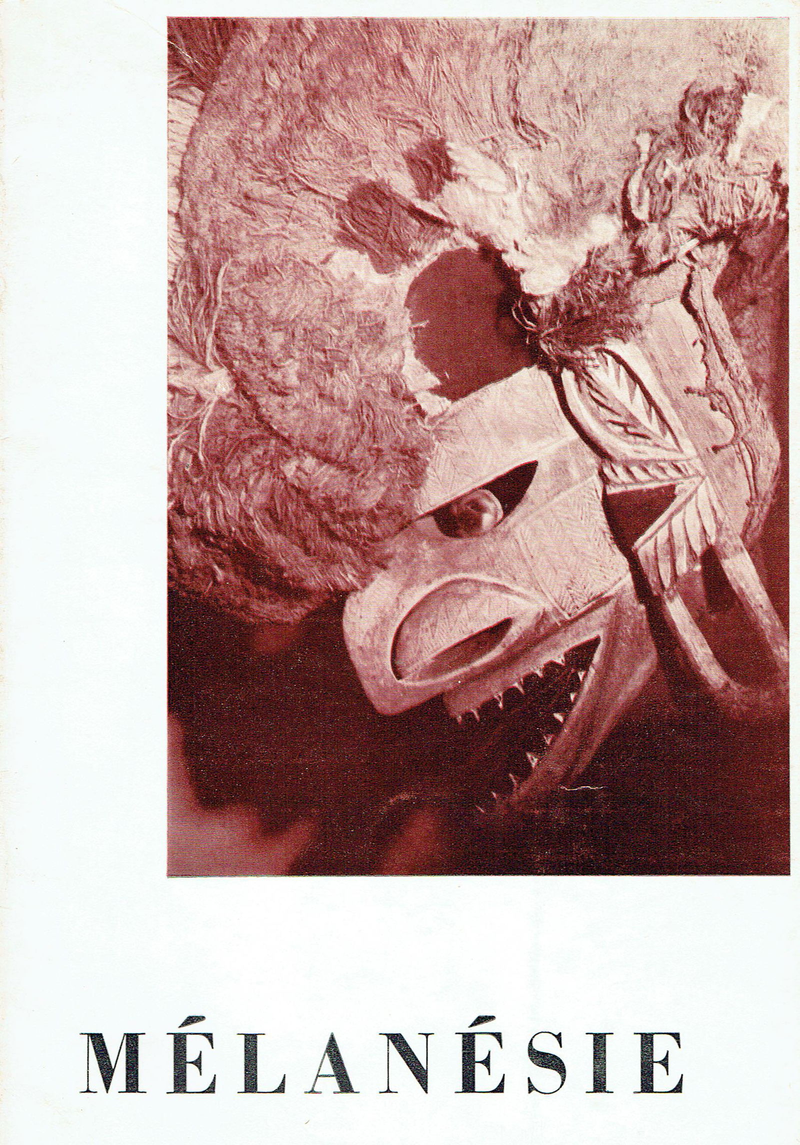 Mélanésie (1 of 1)